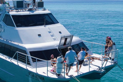 Ocean Freedom Great Barrier Reef Personal Luxury Snorkel & Dive Cruise, Cairns - Accommodation Batemans Bay 1