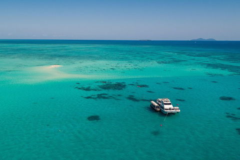 Ocean Freedom Great Barrier Reef Personal Luxury Snorkel & Dive Cruise, Cairns - Accommodation Batemans Bay 2