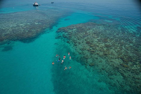Ocean Freedom Great Barrier Reef Personal Luxury Snorkel & Dive Cruise, Cairns - Accommodation Batemans Bay 3