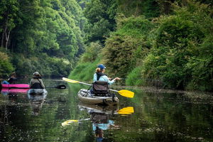 Byron Bay Rainforest Fishing