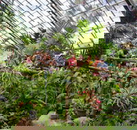 Australian Butterfly Sanctuary - Accommodation Batemans Bay