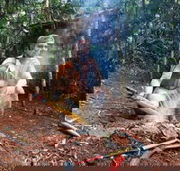 Kuranda Highlights including Rainforestation Aboriginal Culture and Wildlife - Accommodation Batemans Bay