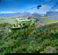 Best of Kuranda Including Skyrail Kuranda Scenic Railway and Rainforestation - Accommodation Batemans Bay