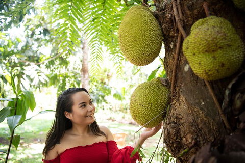 Kuranda Village, Army Duck Tour With Train And Skyrail (KDB) - Accommodation Batemans Bay 2