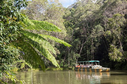 Kuranda Village, Army Duck Tour With Train And Skyrail (KDB) - Accommodation Batemans Bay 4