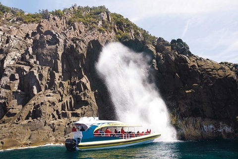 Full-Day Bruny Island Cruises Day Tour From Hobart - Accommodation Batemans Bay 4