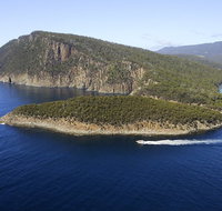 3-Hour Bruny Island Cruise from Adventure Bay Bruny Island - Accommodation Batemans Bay