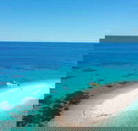 Ocean Safari Great Barrier Reef Experience in Cape Tribulation - Accommodation Batemans Bay
