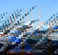 One Day Port Lincoln Tour - Tasting Eyre - Accommodation Batemans Bay