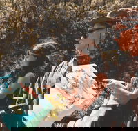 Springbrook andTamborine Rainforest Tour Incl Natural Bridge and Glow Worm Cave - Accommodation Batemans Bay