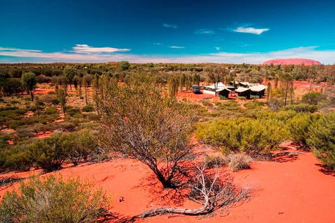 Overnight Uluru (Ayers Rock) Small-Group Camping Tour - Accommodation Batemans Bay 2