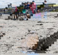 Kangaroo Island in a Day Tour from Adelaide - Accommodation Batemans Bay