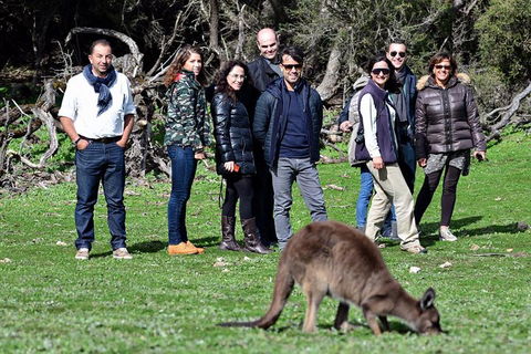2-Day Kangaroo Island 4WD Small-Group Tour From Adelaide - Accommodation Batemans Bay 1
