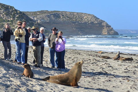 2-Day Kangaroo Island 4WD Small-Group Tour From Adelaide - Accommodation Batemans Bay 3