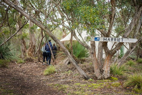 2-Day Kangaroo Island 4WD Small-Group Tour From Adelaide - Accommodation Batemans Bay 5
