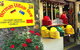 Adelaide Hills And Hahndorf Half-Day Tour From Adelaide - thumb 1