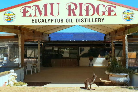 2 Day Ultimate Kangaroo Island With Return Ferry - Accommodation Batemans Bay 3