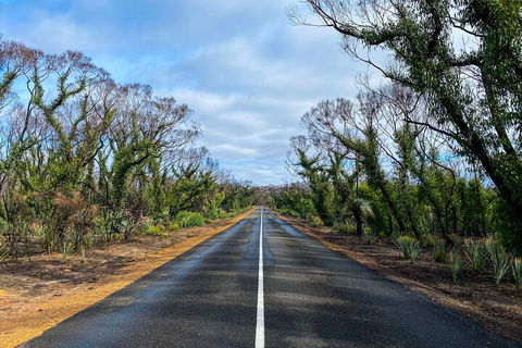 2 Day Ultimate Kangaroo Island With Return Ferry - Accommodation Batemans Bay 4