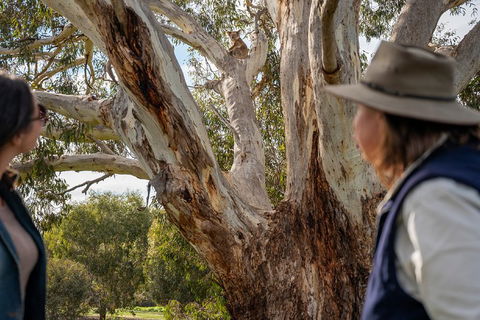 NEW TOUR - Kangaroo Island Road To Recovery Tour (1 Day/1 Night) - Accommodation Batemans Bay 0