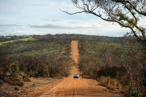 NEW TOUR - Kangaroo Island Road To Recovery Tour (1 Day/1 Night) - Accommodation Batemans Bay 2