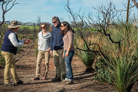 NEW TOUR - Kangaroo Island Road To Recovery Tour (1 Day/1 Night) - Accommodation Batemans Bay 4