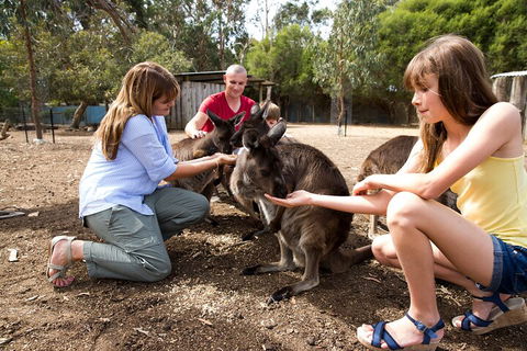Full-Day Kangaroo Island Experience Departing From Kangaroo Island - Accommodation Batemans Bay 5