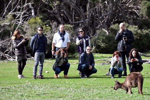 Small-Group Kangaroo Island 4WD Tour From Adelaide - Accommodation Batemans Bay 2