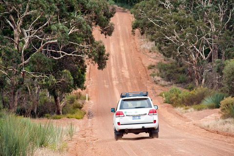 Small-Group Kangaroo Island 4WD Tour From Adelaide - Accommodation Batemans Bay 3