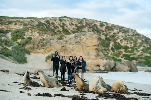 Small-Group Kangaroo Island 4WD Tour From Adelaide - Accommodation Batemans Bay 4
