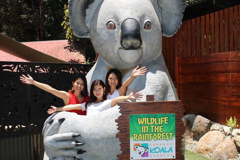 Kuranda Koala Gardens And Birdworld Admission Tickets - Accommodation Batemans Bay 3
