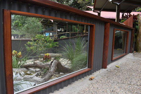 Kuranda Koala Gardens And Birdworld Admission Tickets - Accommodation Batemans Bay 4