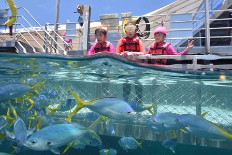 Outer Reef Pontoon Experience From Cairns - Accommodation Batemans Bay 0