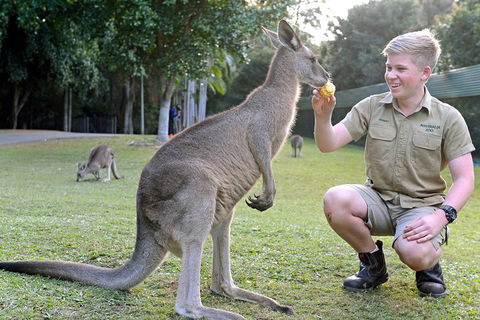 Small-Group Australia Zoo Day Trip From Brisbane - Accommodation Batemans Bay 4