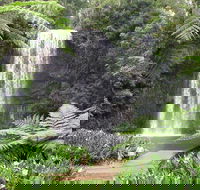 Private Daintree and Cape Tribulation Tour from Port Douglas - Accommodation Batemans Bay