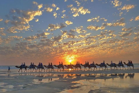 Broome City Sightseeing Tour With Optional Camel Ride - Accommodation Batemans Bay 1