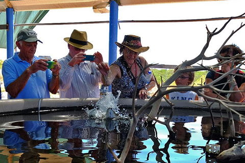 Cape Leveque 4WD Tour From Broome With Optional Return Flight - Accommodation Batemans Bay 0