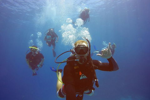 12-Day Great Barrier Reef Marine Conservation Program From Cairns - Accommodation Batemans Bay 0