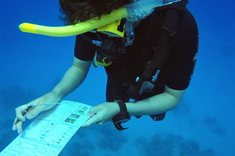 12-Day Great Barrier Reef Marine Conservation Program From Cairns - Accommodation Batemans Bay 2