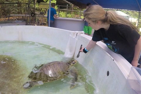12-Day Great Barrier Reef Marine Conservation Program From Cairns - Accommodation Batemans Bay 4