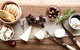 Mornington Peninsula Winery Tours With Cheese, Chocolate Tastings From Melbourne - thumb 1