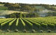 Mornington Peninsula Winery Tours With Cheese, Chocolate Tastings From Melbourne - thumb 4