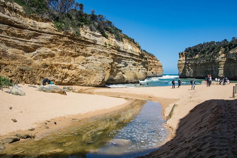 Great Ocean Road Reverse Itinerary With 12 Apostles From Melbourne - Accommodation Batemans Bay 2