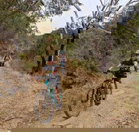 Mount Lofty Descent Bike Tour from Adelaide - Accommodation Batemans Bay
