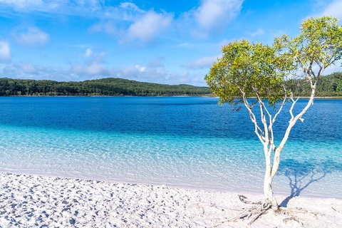 Lake McKenzie Full-Day Tour With Lunch From Hervey Bay - Accommodation Batemans Bay 1