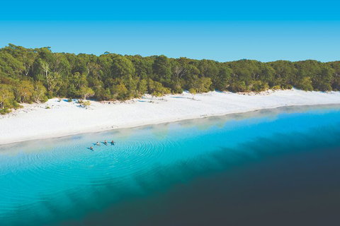 Lake McKenzie Full-Day Tour With Lunch From Hervey Bay - Accommodation Batemans Bay 4