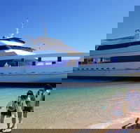 Moreton Island Day Trip Kayak Snorkel  Sandboard frm Brisbane or Gold Coast - Accommodation Batemans Bay