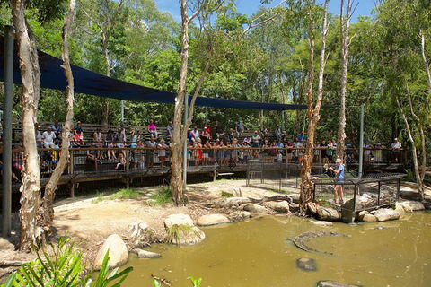 Hartley's Crocodile Adventures Breakfast With The Koalas - Accommodation Batemans Bay 1
