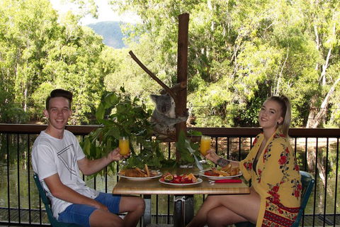 Hartley's Crocodile Adventures Breakfast With The Koalas - Accommodation Batemans Bay 5