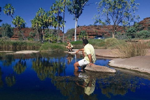 Palm Valley 4WD Day Tour - Accommodation Batemans Bay 1