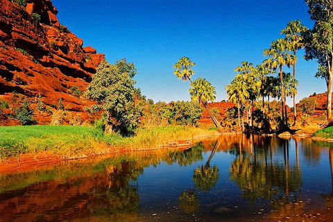 Palm Valley 4WD Day Tour - Accommodation Batemans Bay 2
